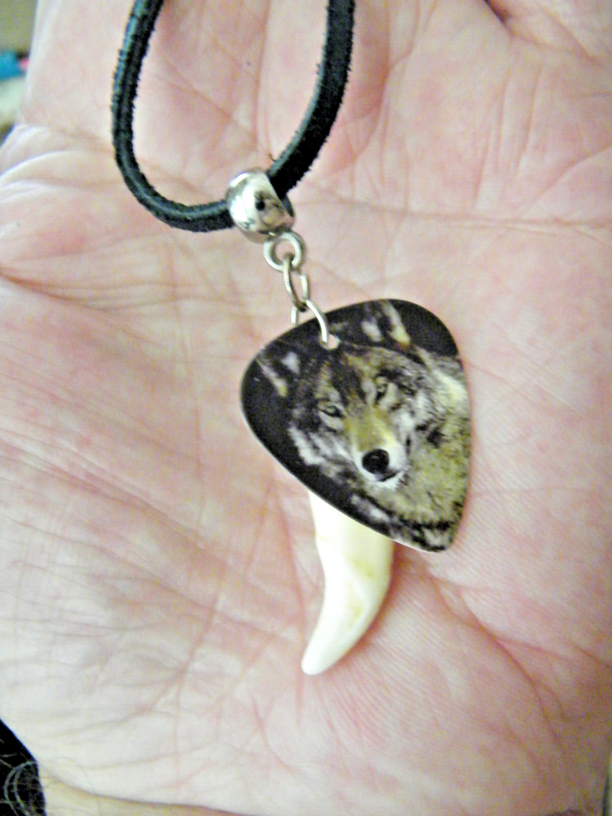 Coyote Tooth Necklace WHITE / ERU Coyote Teeth Choker 27″ Real Black Leather NEW