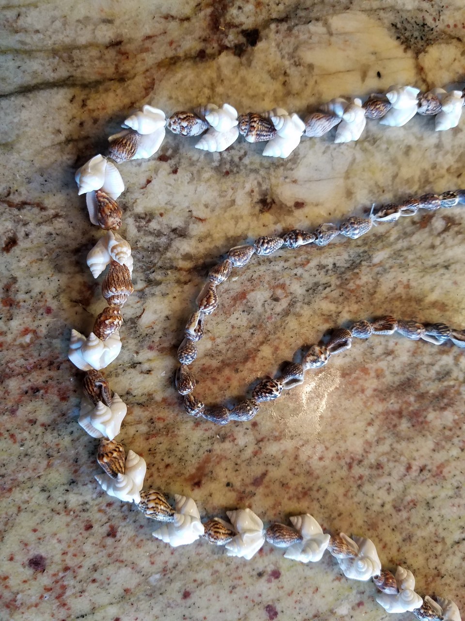 Shell Leis