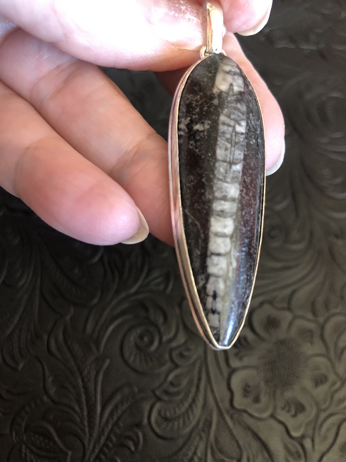 Large Orthoceras Fossil Black White Shadow Bezel 2.5” Pendant