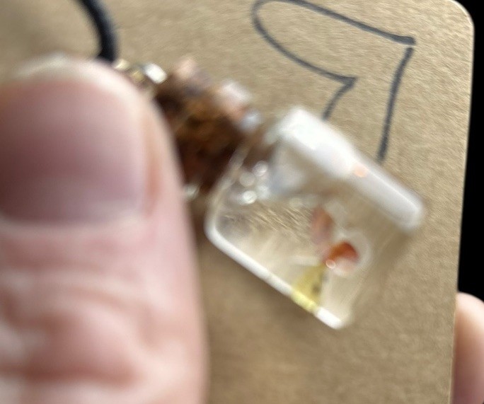 Butterfly Floating In A Mini Glass Jar Handmade Pendant