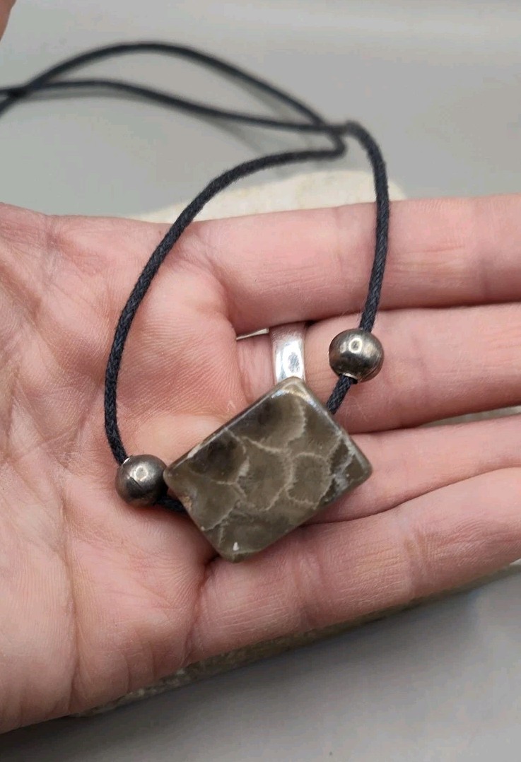 Polished Petoskey Stone Pendant Necklace 28″