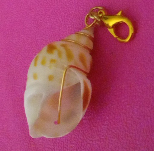 Gold Wire Wrapped Sea Shell Beach Ocean Clip Charm Pendant 4 Bracelet/Necklace