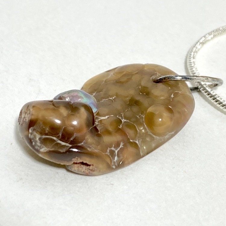 Tampa Bay Fossil Coral Agate & Freeform Pearl Pendant Silver Plated Necklace