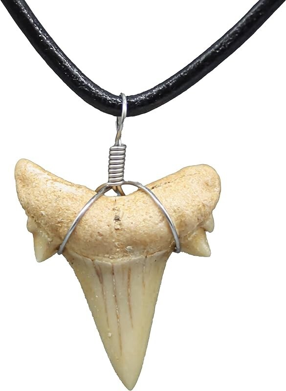 100% Real Fossil Shark Tooth Necklace With 18 Inch Leather Adjustable Cord