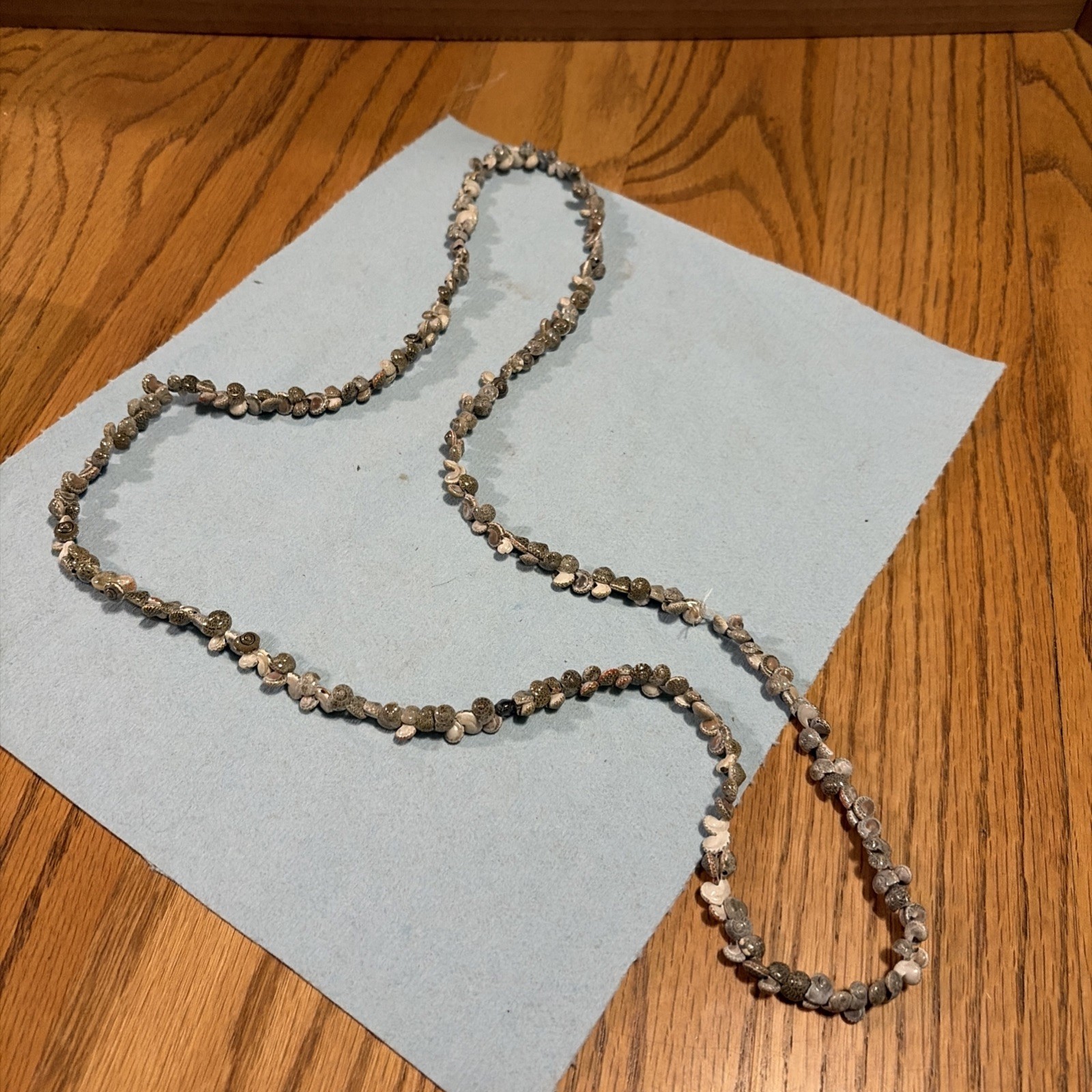 36” Sea Shell Continuous Necklace