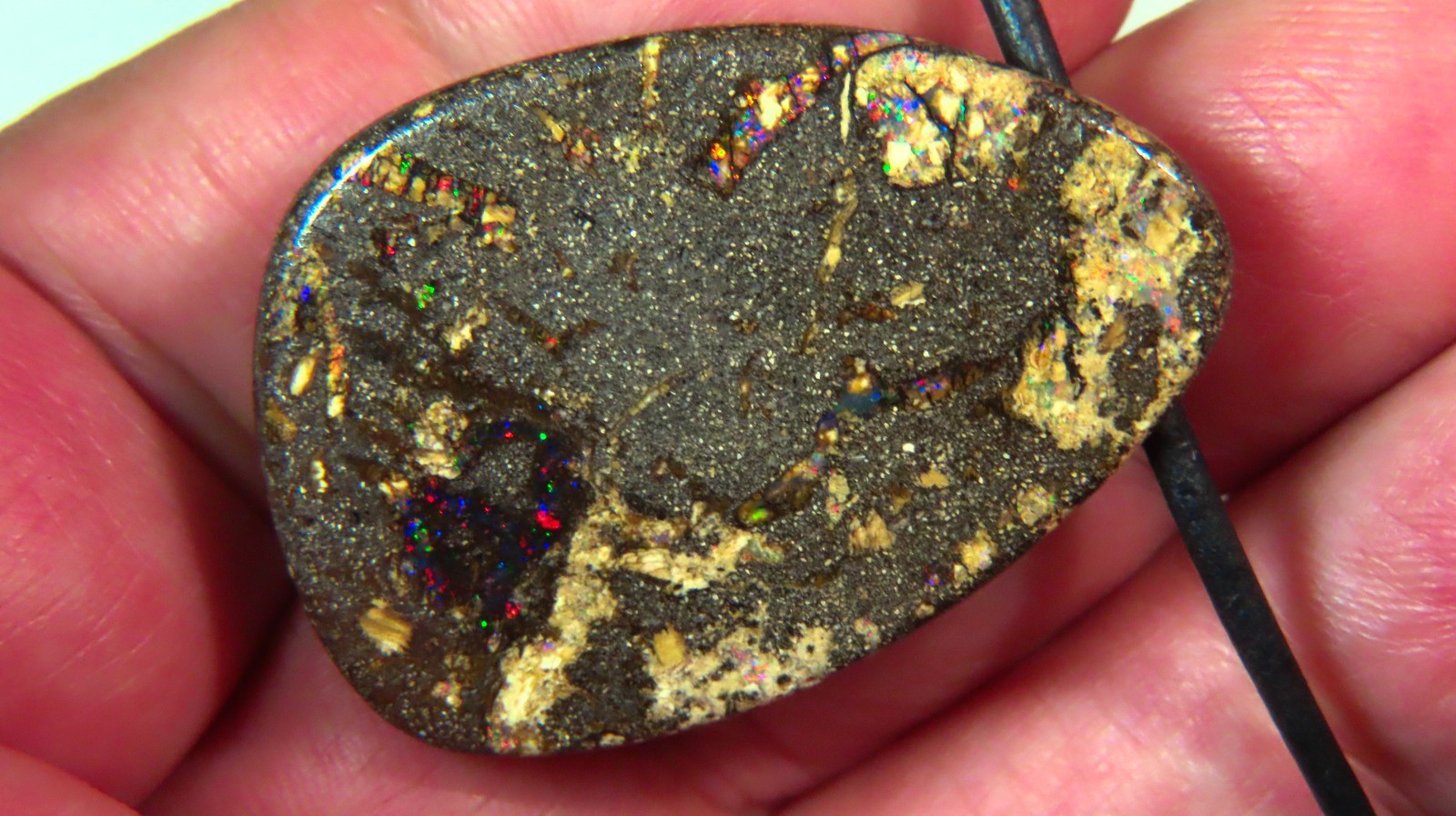 83.1c AUSSIE QUEENSLAND SURF BOULDER OPAL SIDE DRILLED PENDANT OCA19010