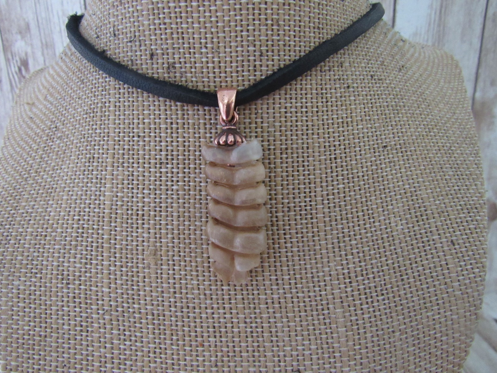 Rattlesnake Rattle Pendant Snake Necklace Spirit Animal Bone Jewelry N7306