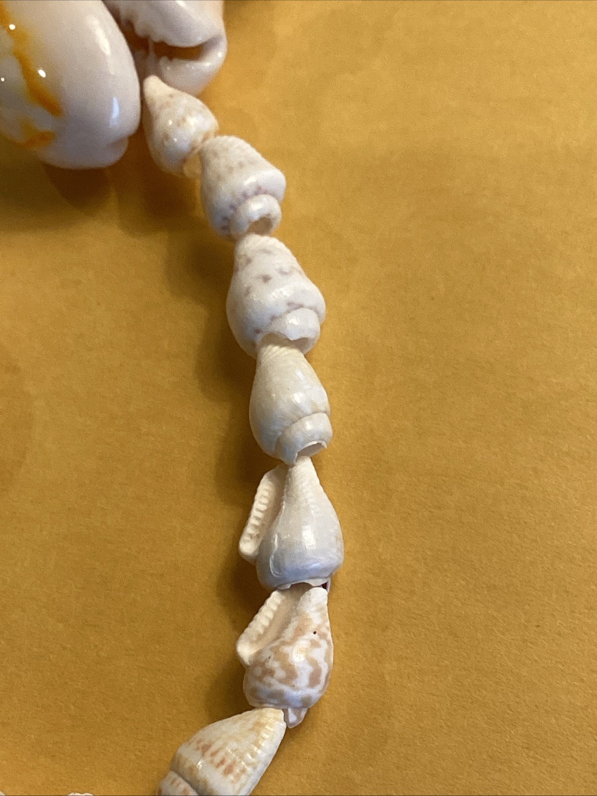 36” Authentic Hawaiian Natural Cowrie Shell Necklace Beautiful