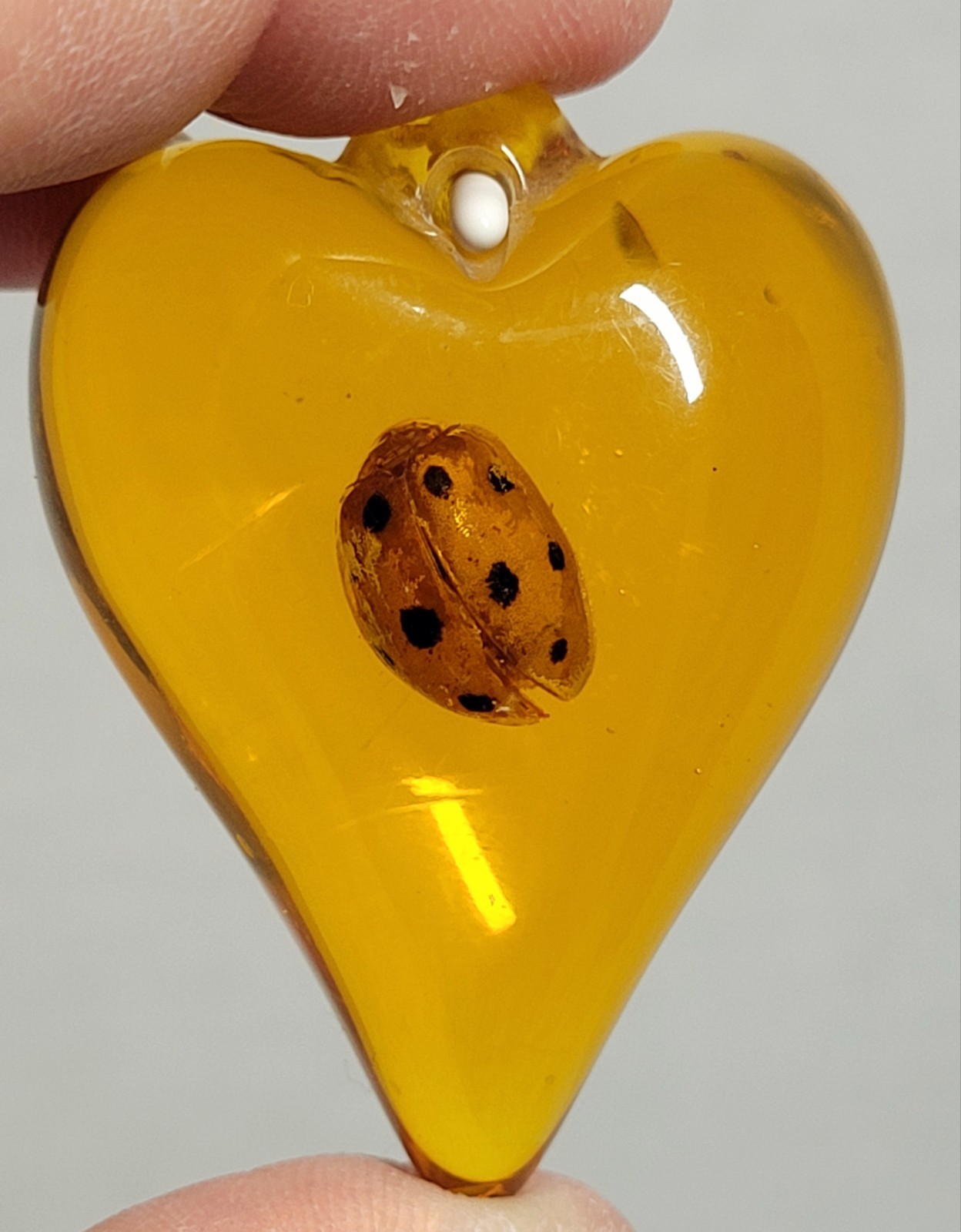 Brand New 2.5″ Lady Beetle Encased In Amber-color Resin Pendant Necklace Ready