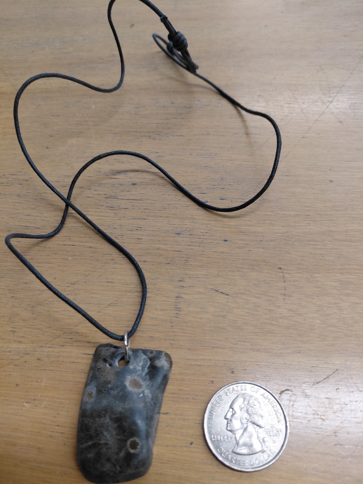 Petroskey Stone Pendant Necklace On Adjustable Braided Leather Cord