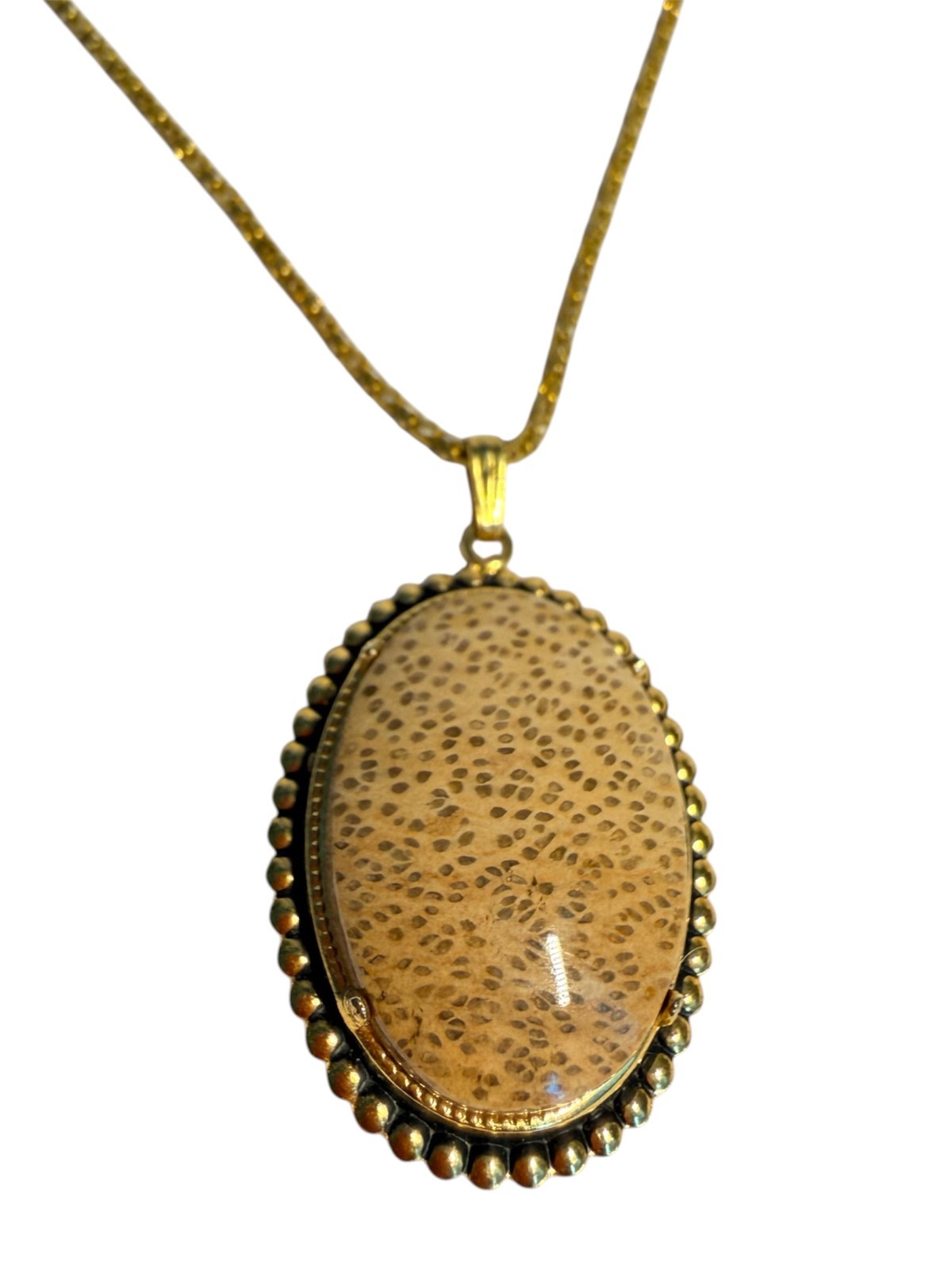 Vintage Gold Tone Fossilized Petoskey Coral Cabochon Oval Pendant Necklace Gift