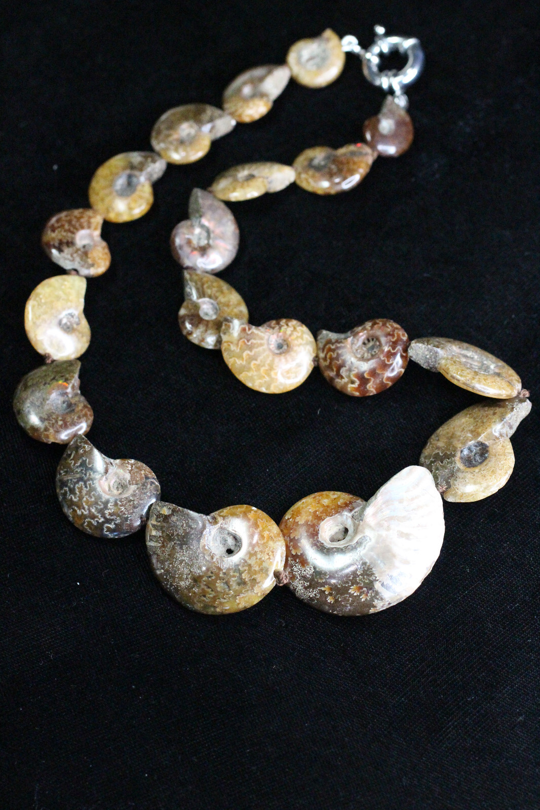Ammonite Fossil Gemstone Graduated Pendants Silk Knot Hand Made Necklace 20”