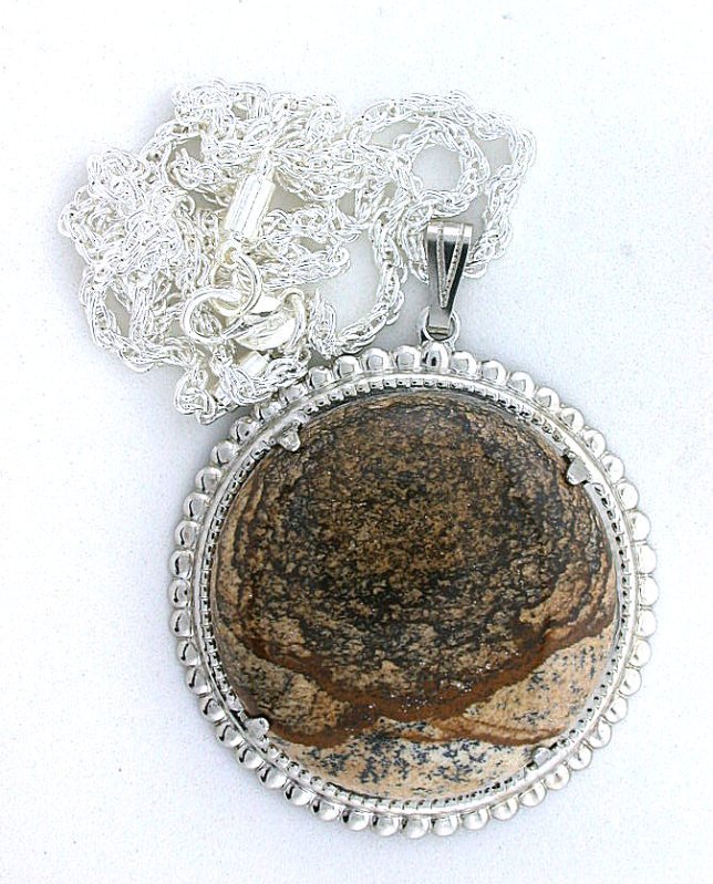 38mm Round Picture Jasper Cabochon Cab Pendant + 20 Inch SP Rope Chain EBS7311