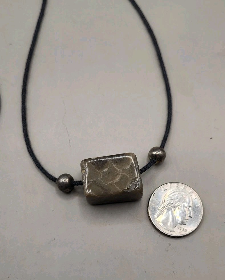 Polished Petoskey Stone Pendant Necklace 28″